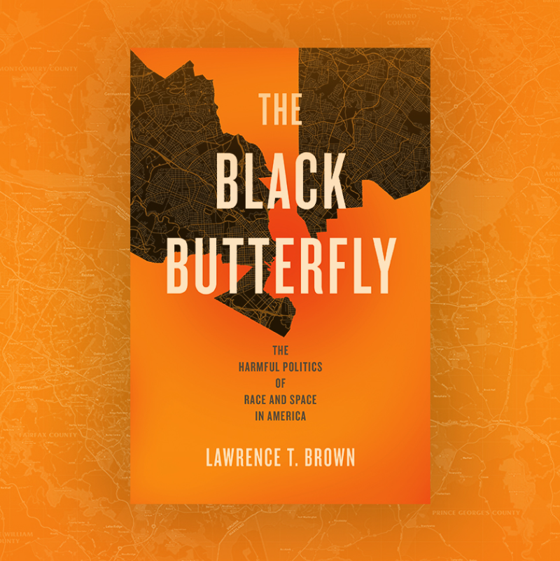 The Black Butterfly